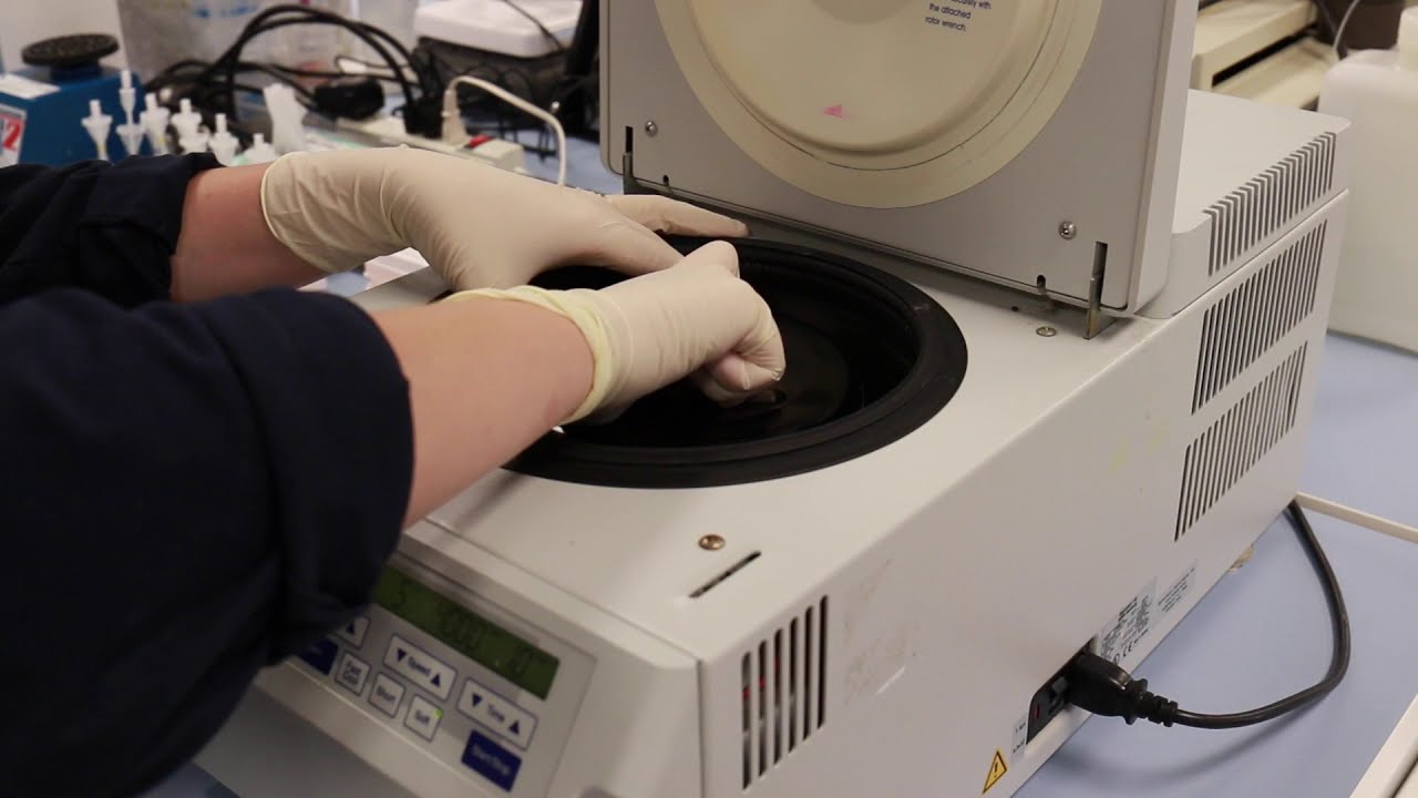 Tail Bleed Sample Prep - Arbor Assays