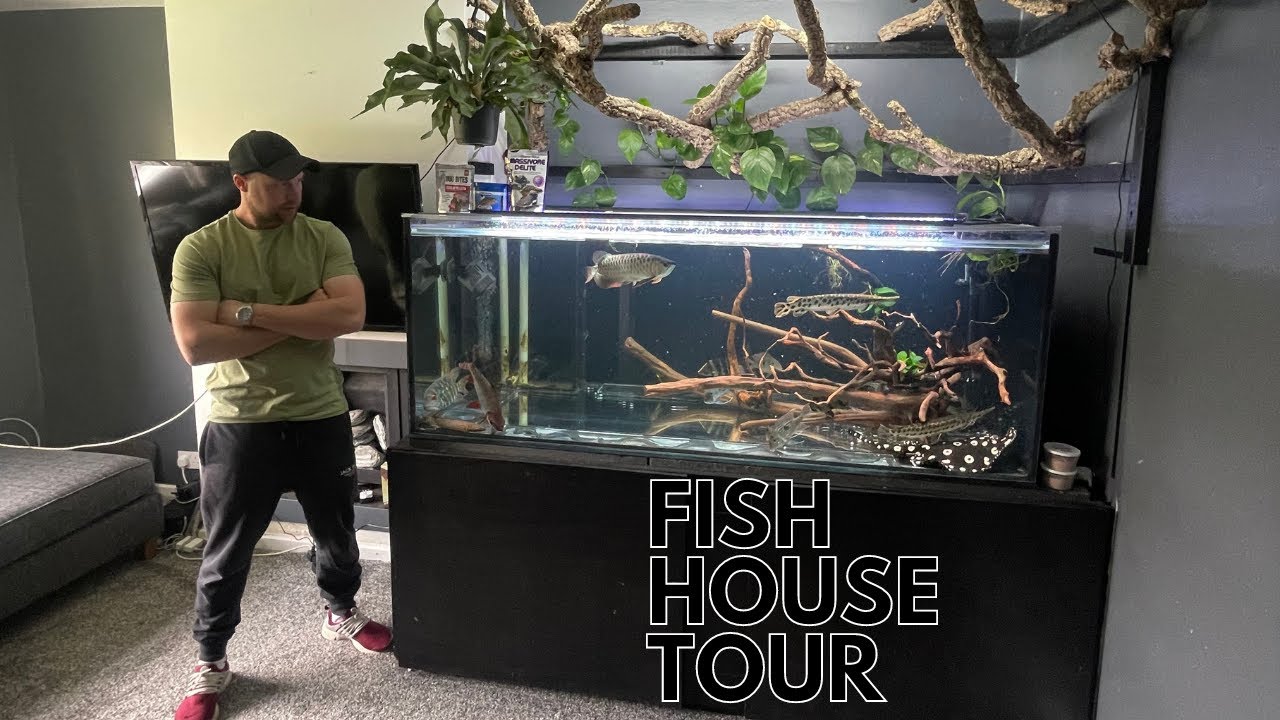 I VISIT SPUDS FISH HOUSE IN MANCHESTER EPIC MUST SEE