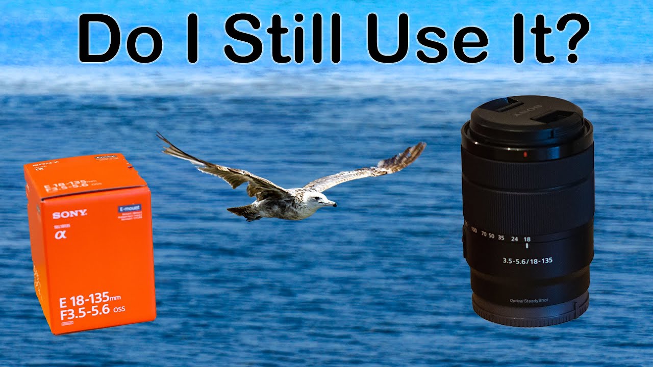 Sony 18-135mm - Long Term Review