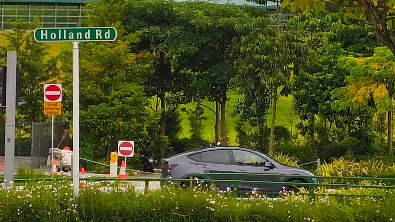 Pedestrian Footage Singapore | Holland Road