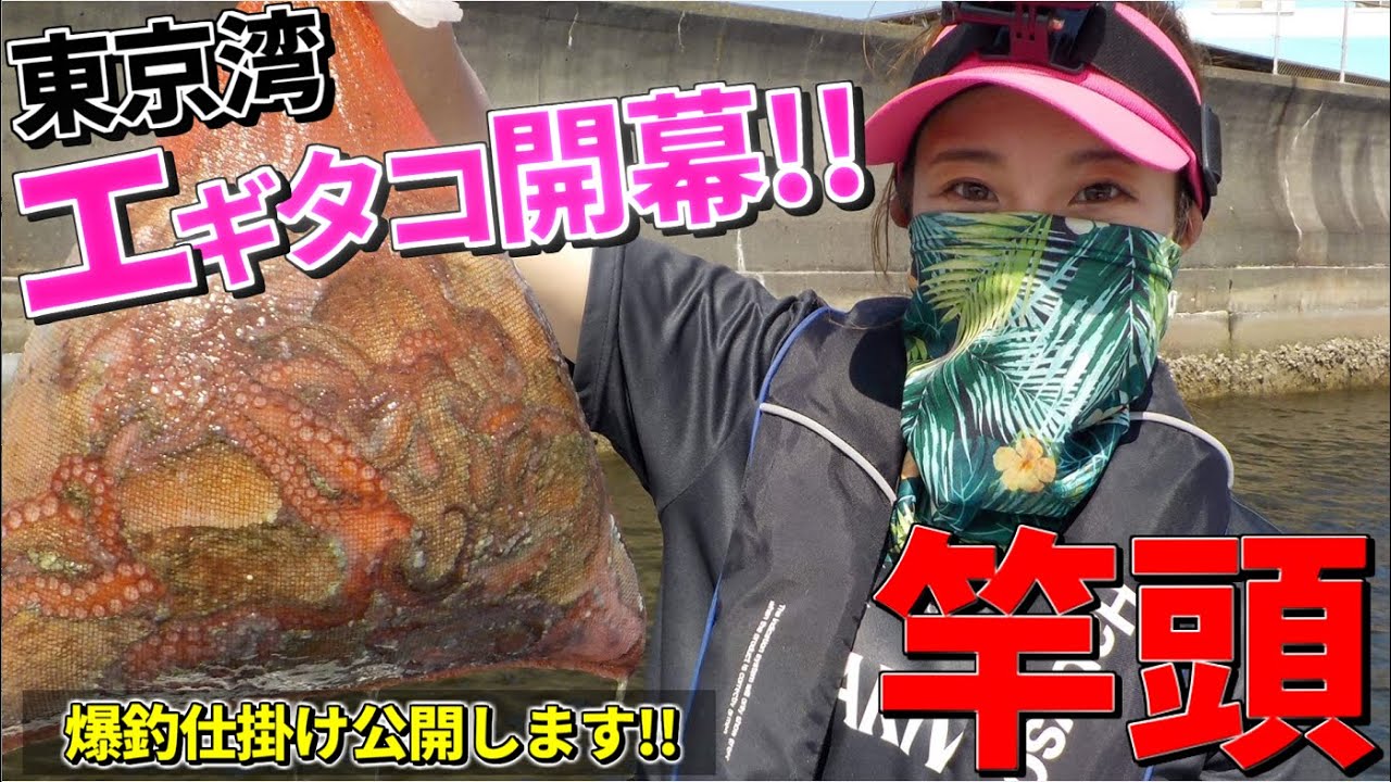 【エギタコ】東京湾マダコ開幕!!祝竿頭♪爆釣釣行記！○秘仕掛けセッティング公開!!【本牧長崎屋】【マダコ釣り】【餌木タコ】
