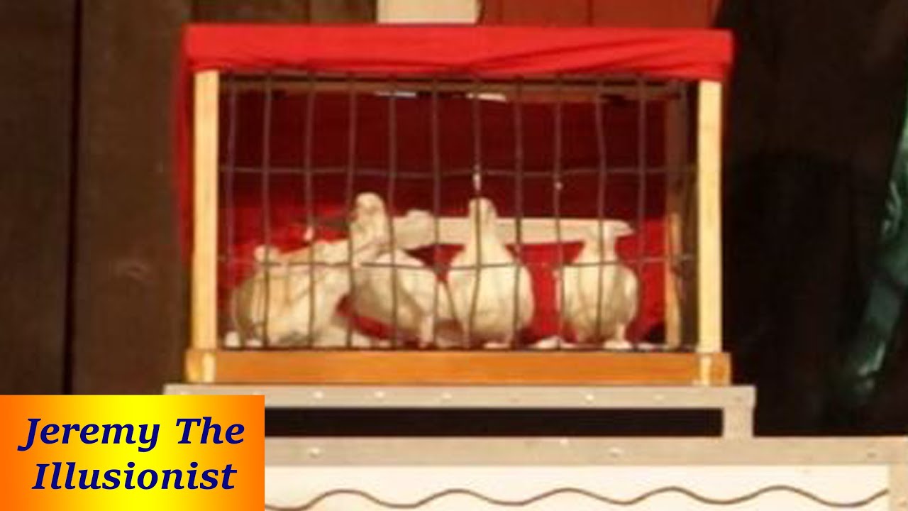 Dove Magic- The Incredible Art of Live Doves Appearing from nowhere