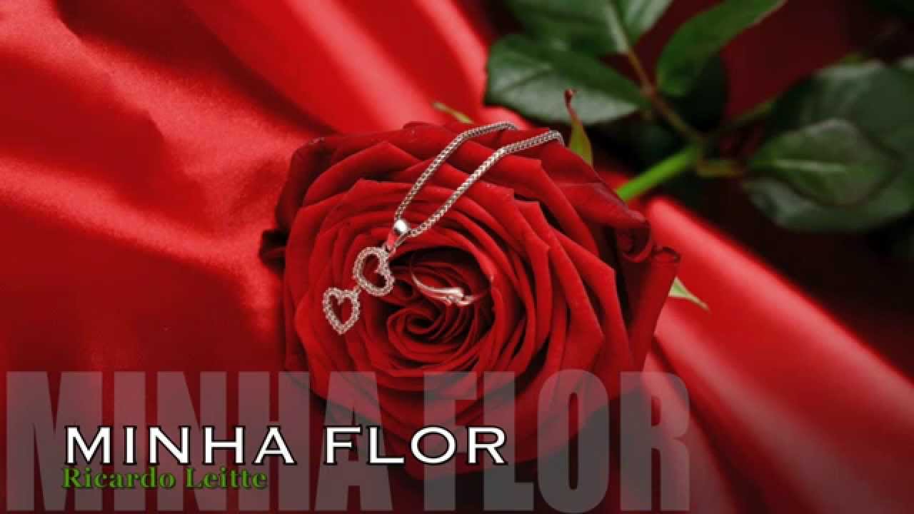 Ricardo Leitte - Minha Flor
