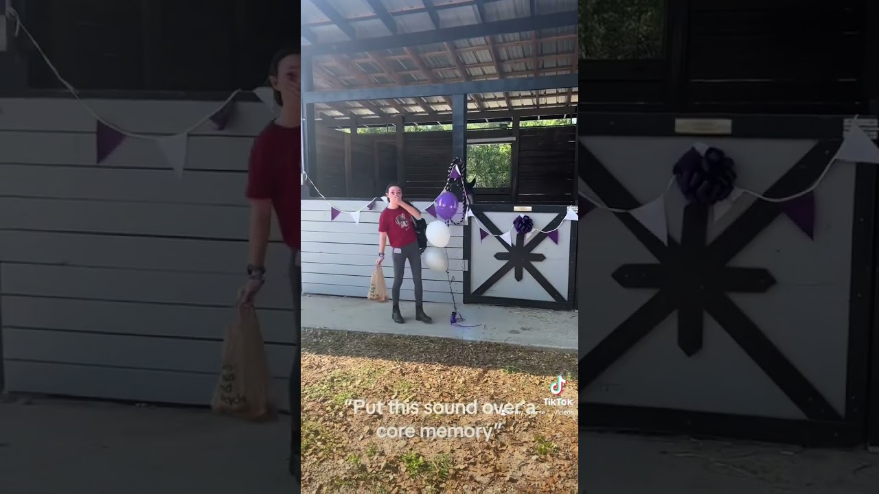 Memories!! #memories #memory #horse #tiktok #equestrian #ponylover #horseriding #ponypower #riding