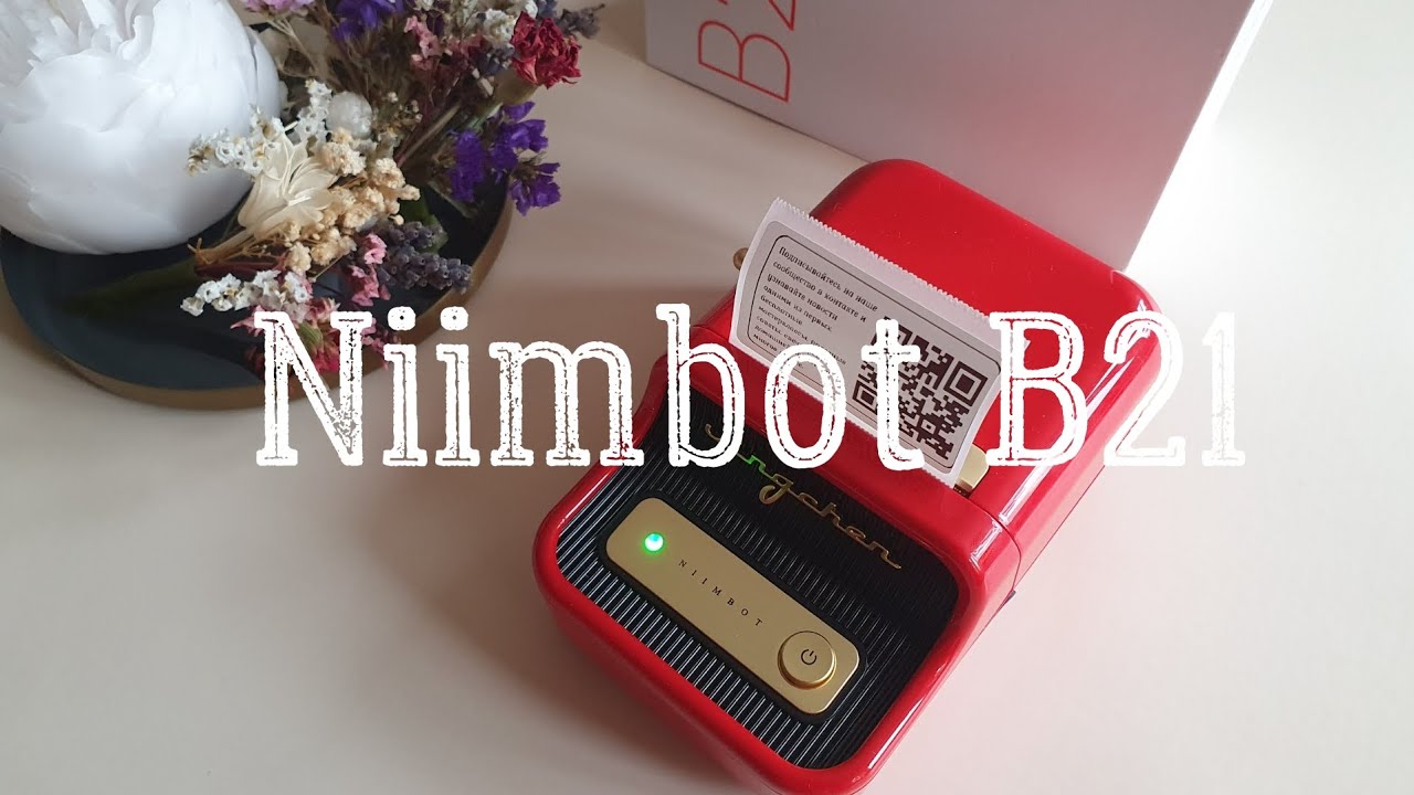 Распаковка, обзор и отзыв на портативный термопринтер Niimbot B21