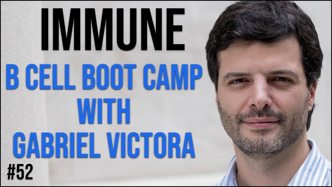 Immune 52: B cell boot camp with Gabriel Victora