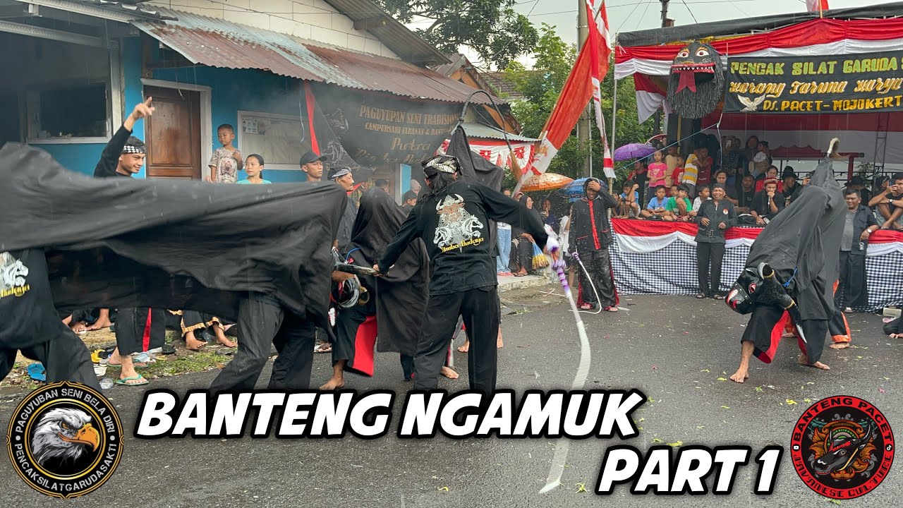 Garuda Sakti Ft Putra Rimba Budaya Live Pacet Ledok || Bantengan (Part 1)