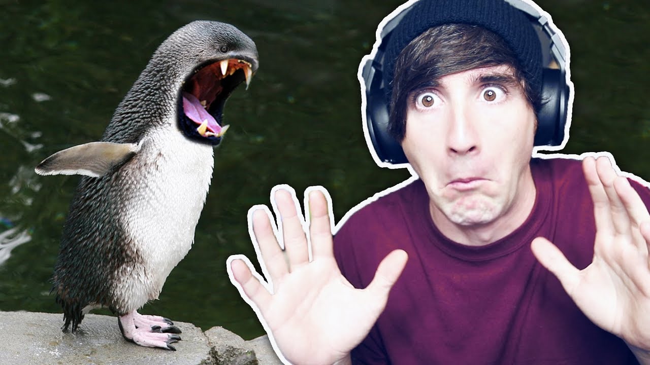 EL PINGÜINO ASESINO ES REAL!