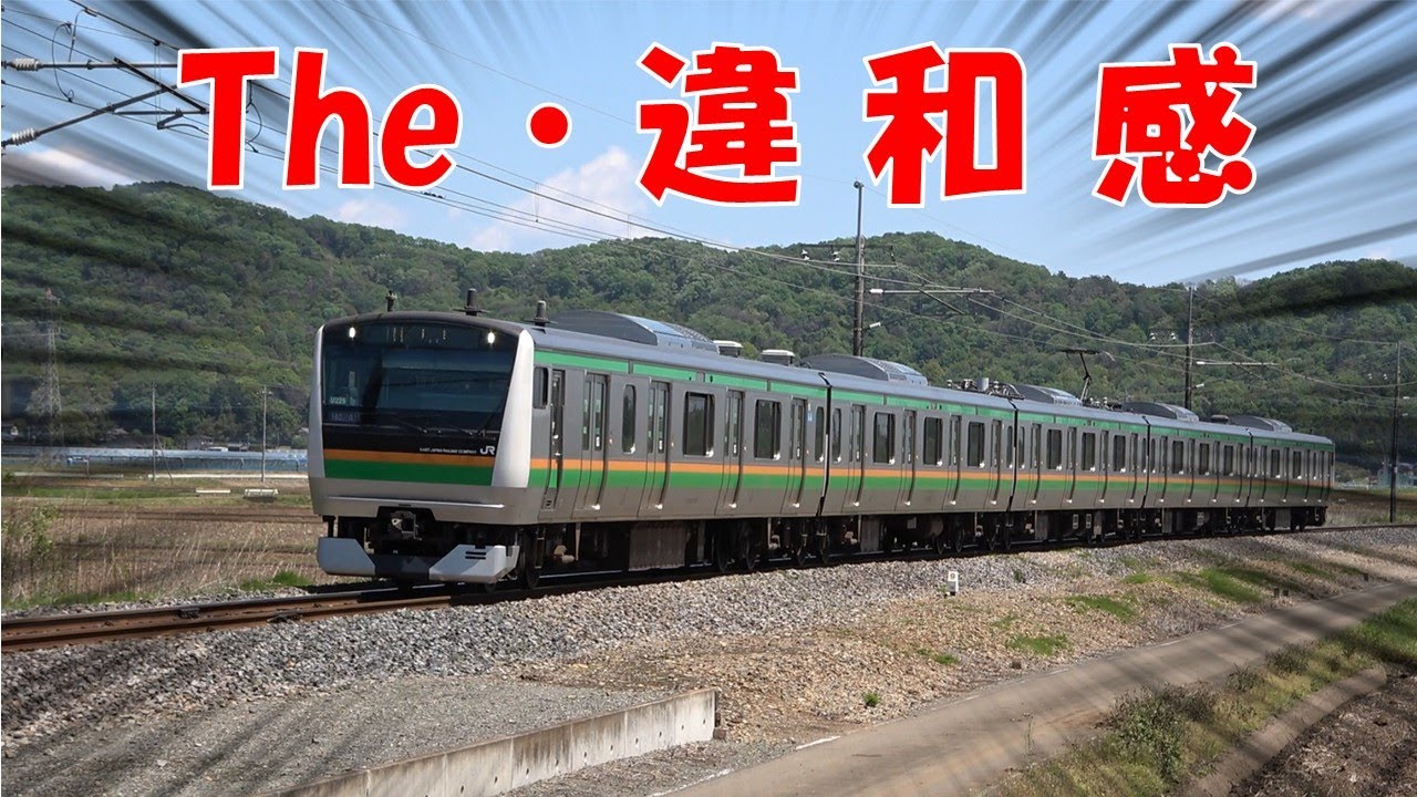 【JR両毛線GW臨電】普段国鉄車しか走らない路線に次世代車がやってきた(後編)