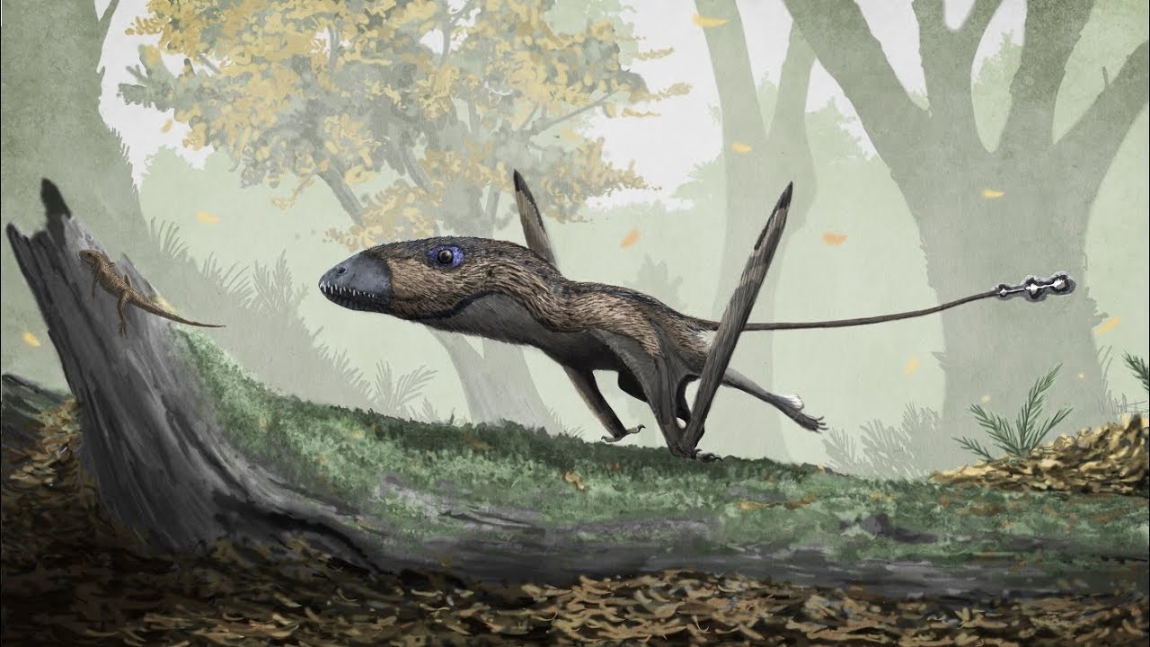 Flying Reptiles