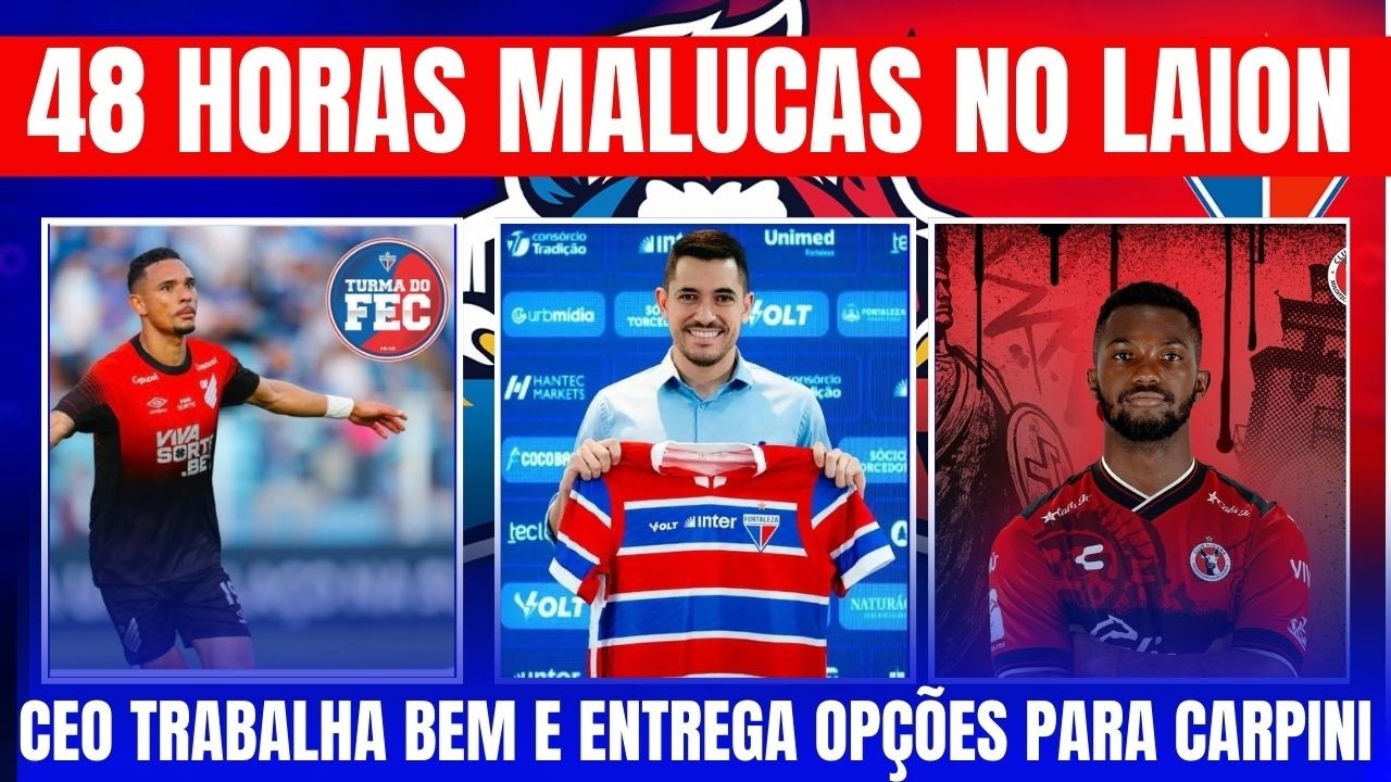 48 HORAS MALUCAS NO LAION // CEO TRABALHA BEM E ENTREGA OPÇÕES PARA CARPINI
