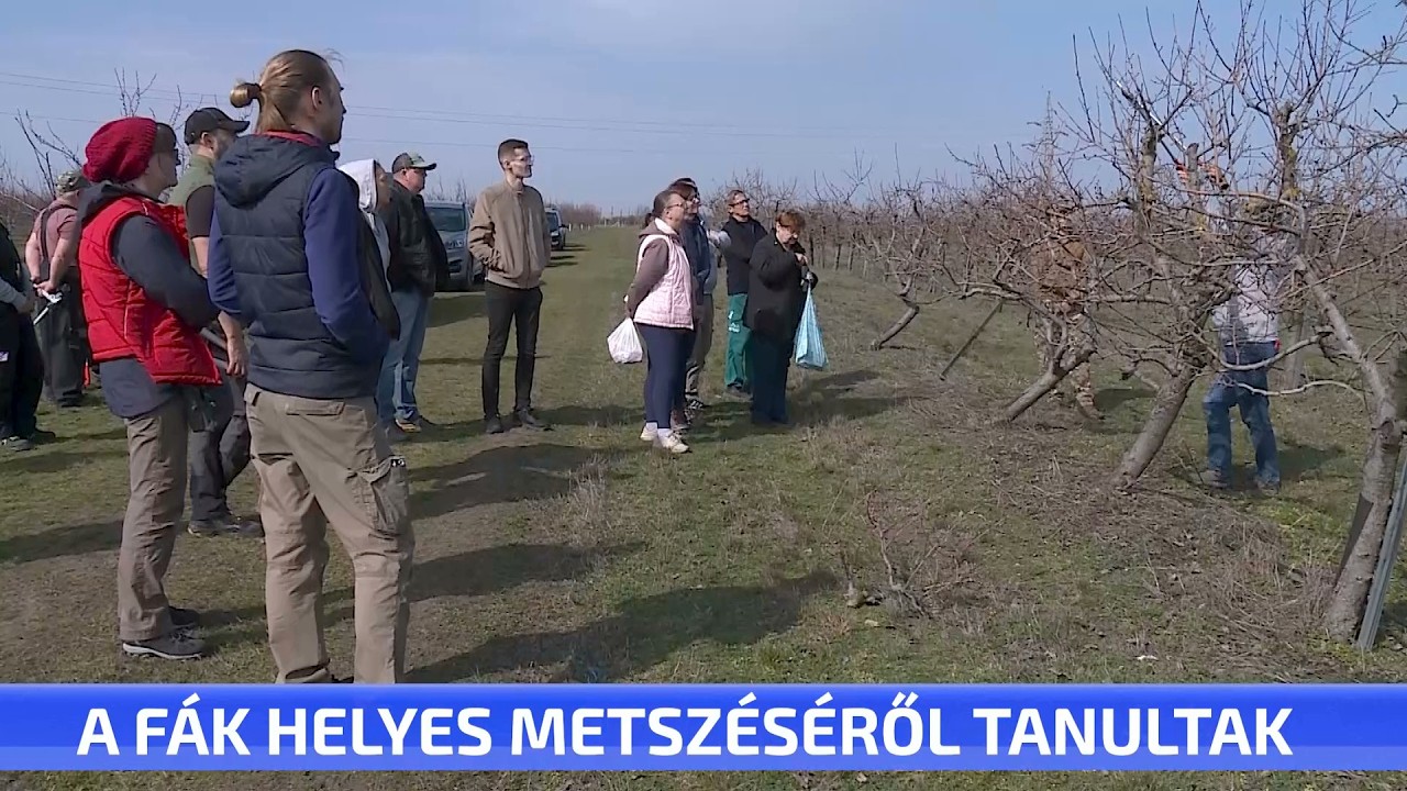 A fák helyes metszése - sokan érkeztek a tanfolyamra