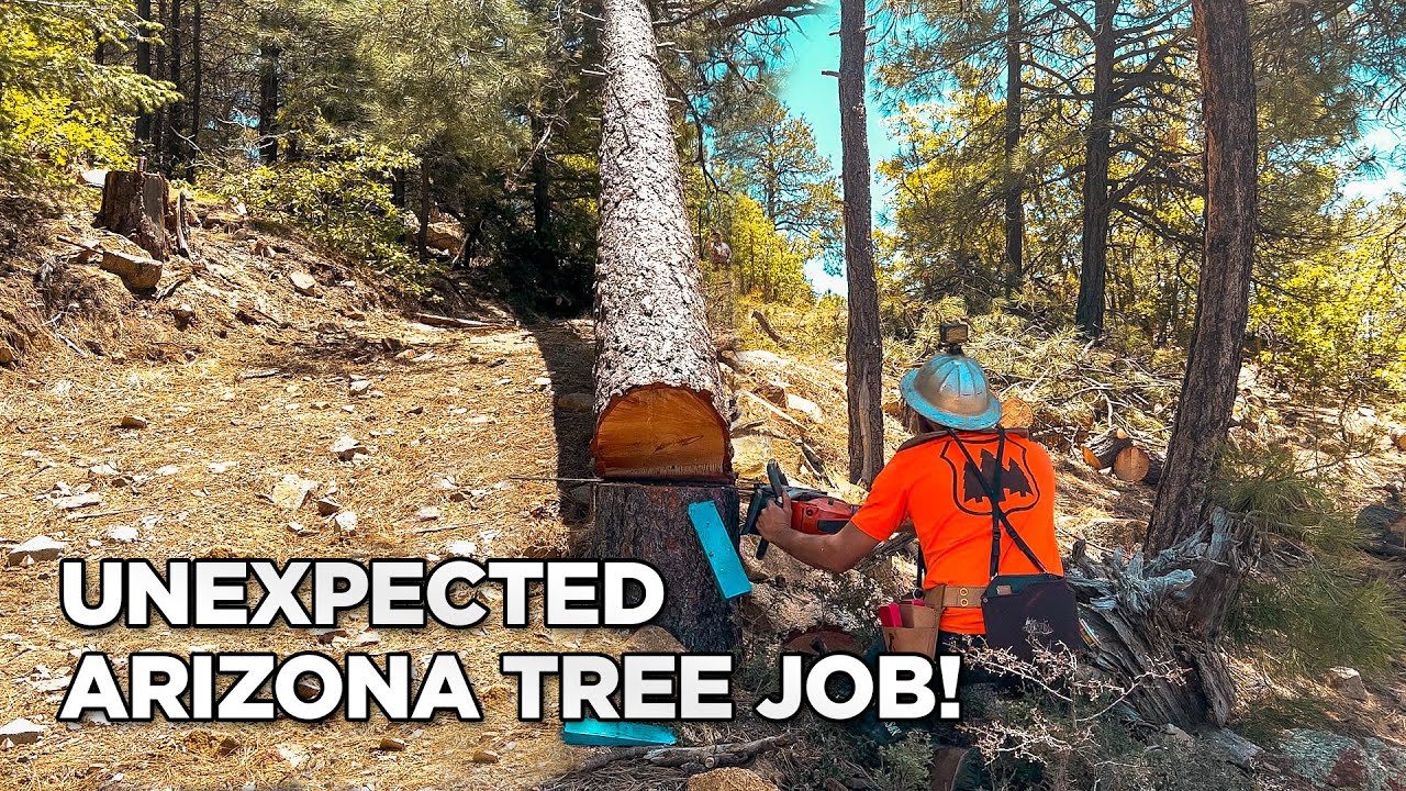 You Won't believe How I Got This Job!