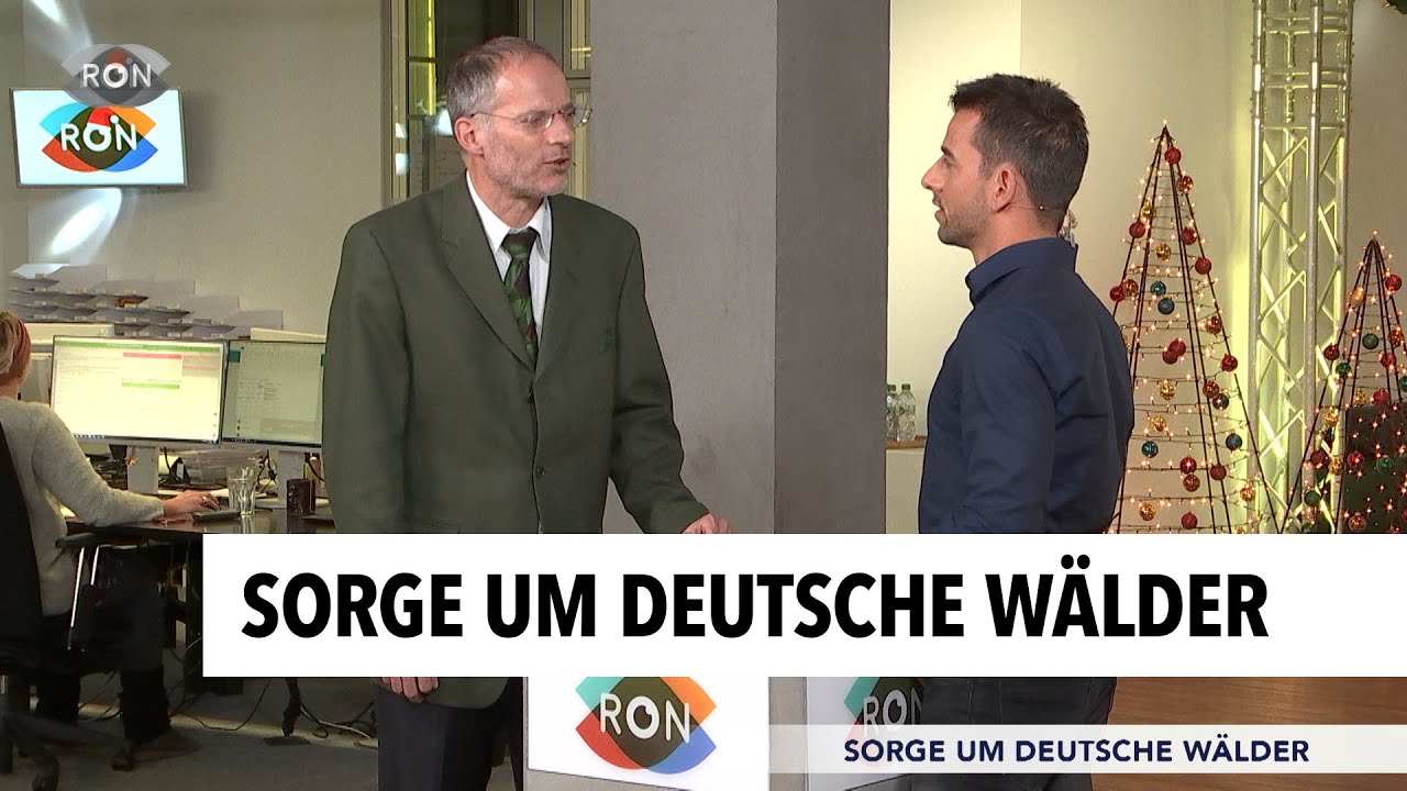 Baumbestand in schlechtem Zustand | RON TV |
