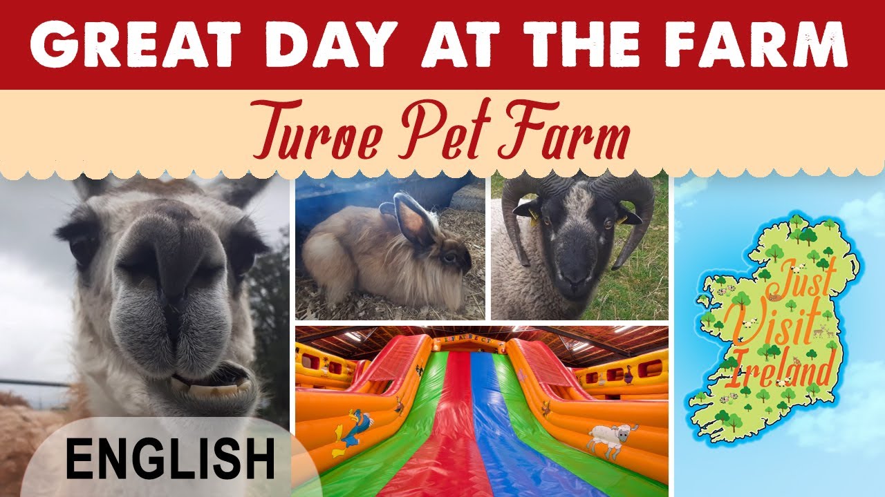 GALWAY - Great day at the farm - Turoe Pet Farm