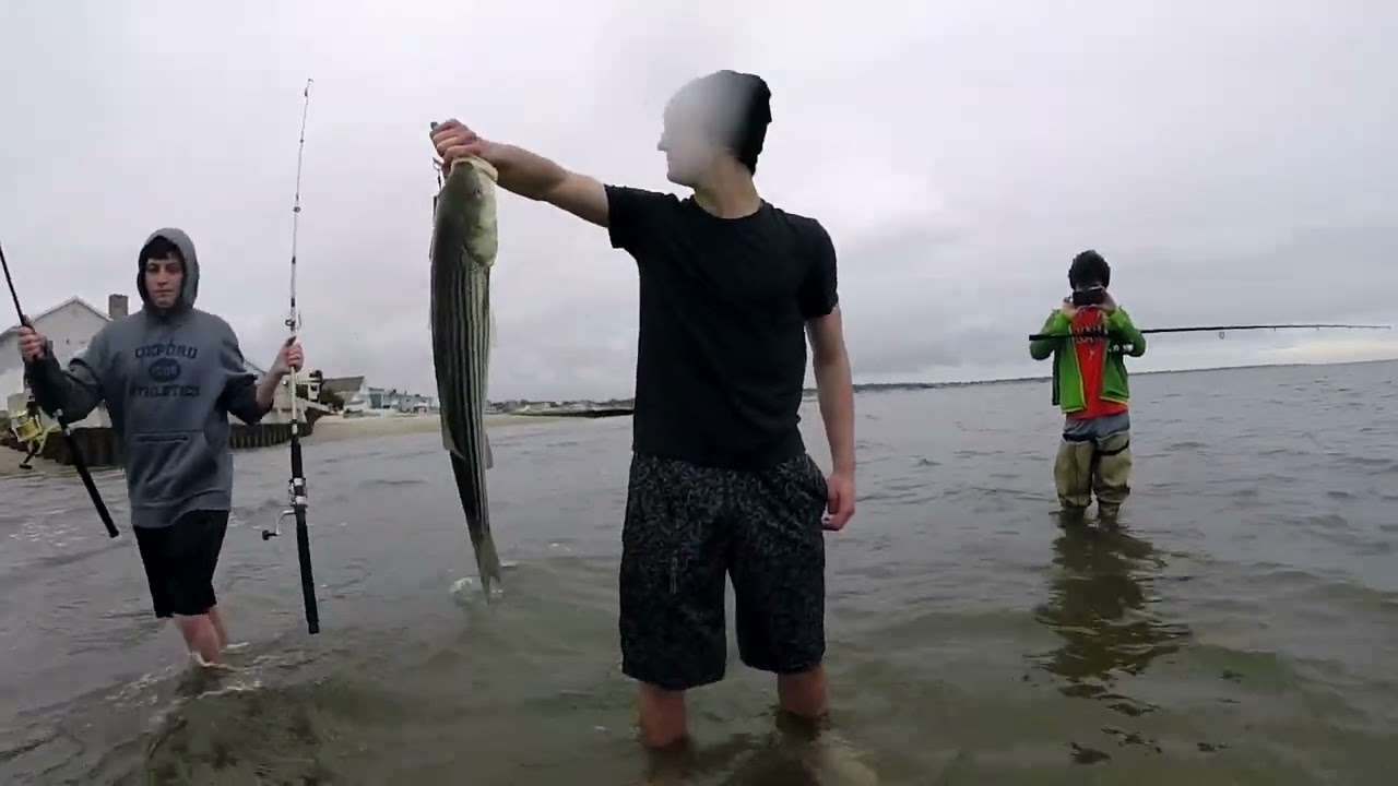 #tbt Striper Season -- Oxford Headmaster's Day Shore Fishing