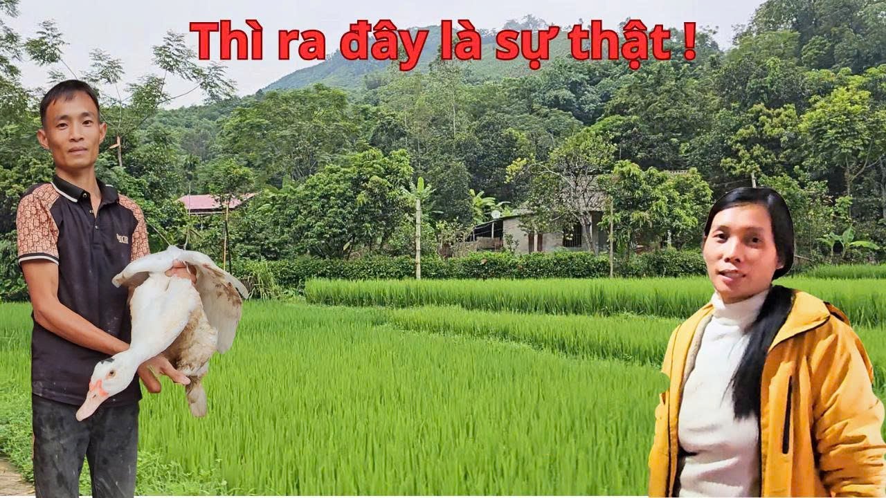 💥 Sự thật phía sau mảnh đất vợ chồng Tý – Lai vừa mua khiến ai cũng tò mò!