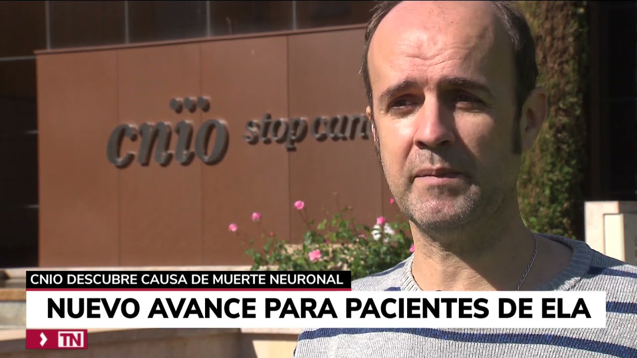 Avance en la lucha contra el ELA: descubren la causa de la muerte neuronal