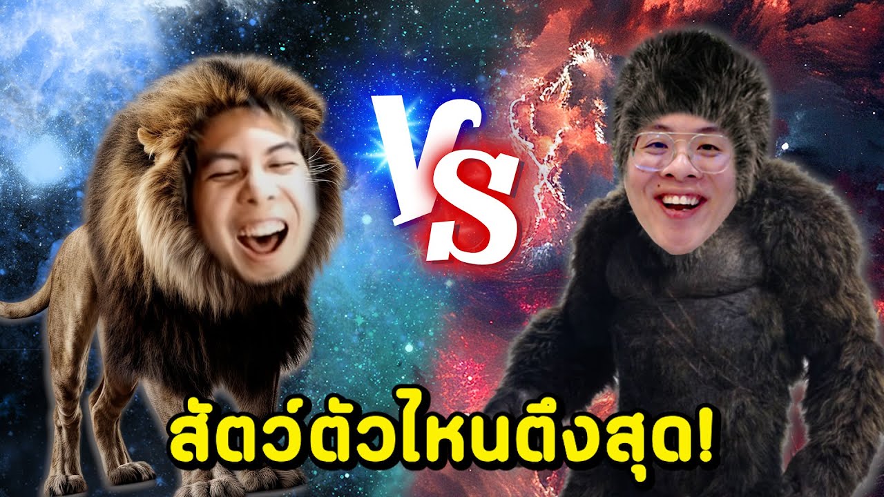 จัดอันดับสัตว์ 1-1 กัน !! ตัวไหนตึงสุดดดด - จัดกับร้าว EP.25