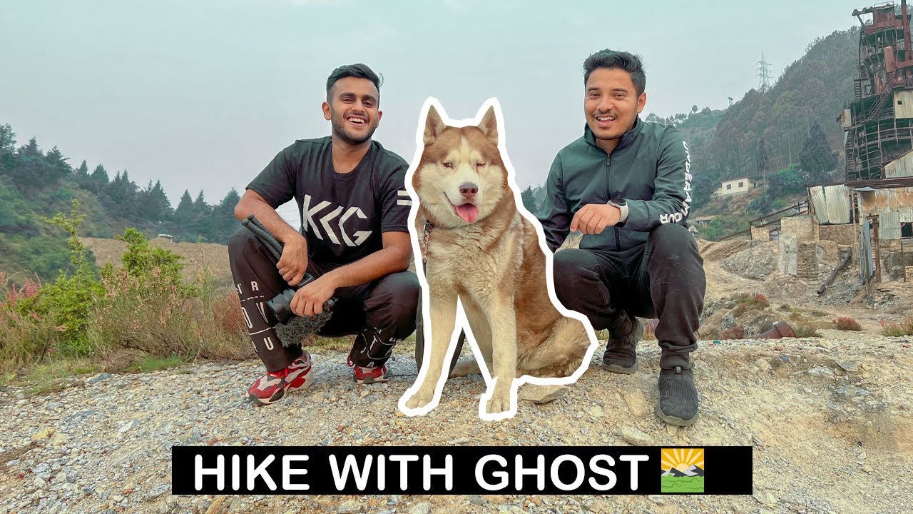 Amazing Hiking Experience with @THEHIMALAYANHUSKY 😍in Pithoragarh, Uttrakhand