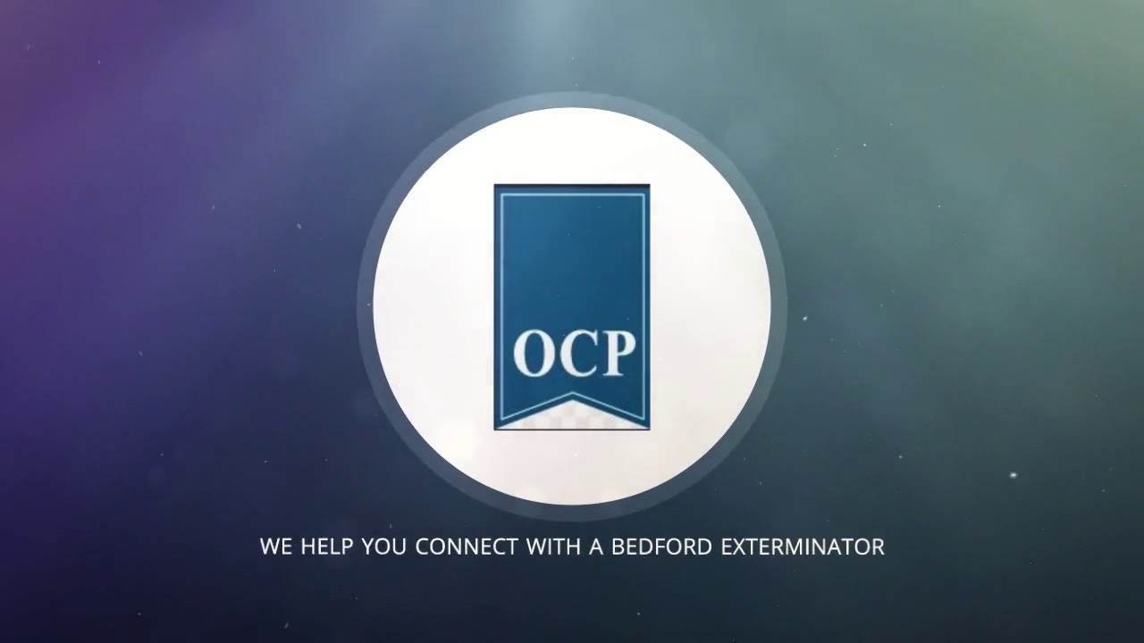OCP Bed Bug Exterminator Bedford, TX - Bee Removal