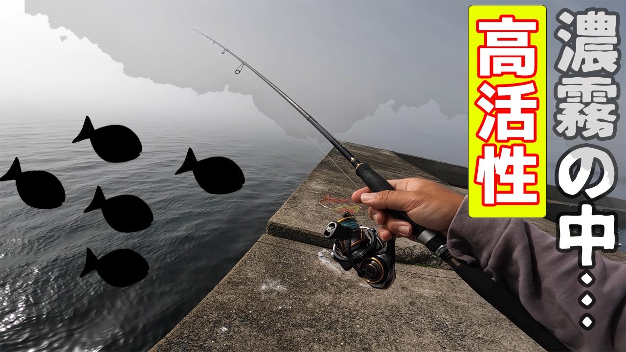真っ白に染まった防波堤は普段釣れないあの魚が高活性だった！？