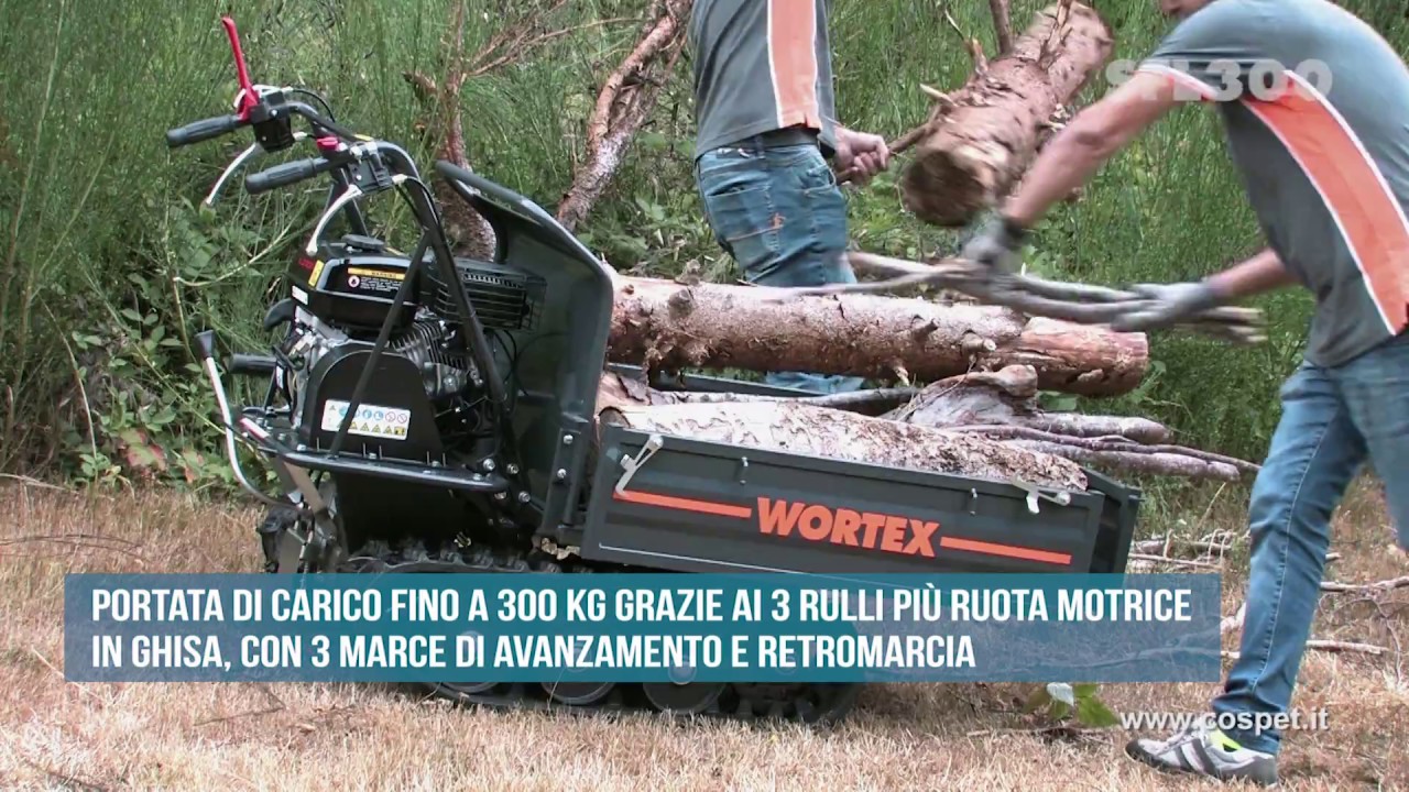 MOTOCARRIOLA WORTEX SFL 300