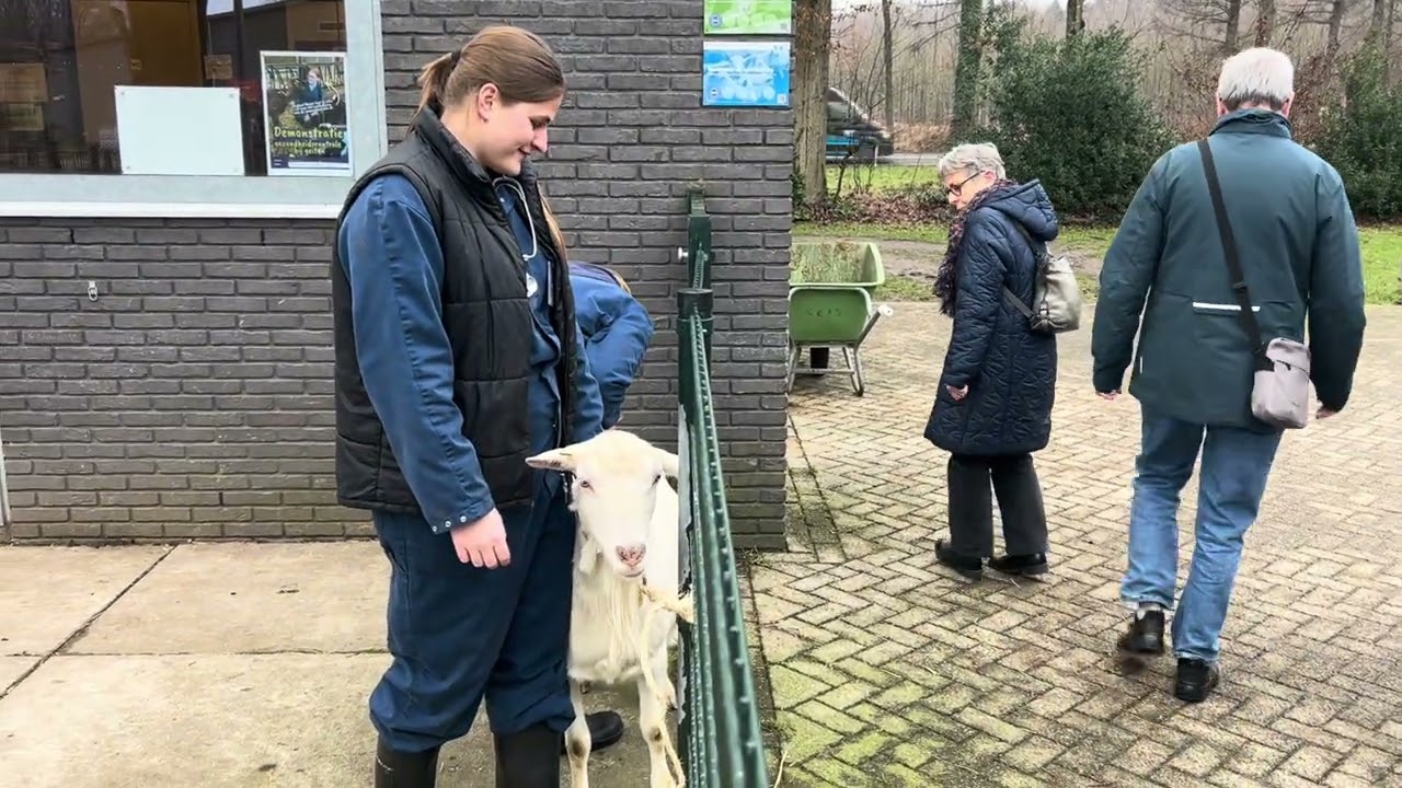 Naomi Bos - 3DM1 - Proeve 2: Opdracht 5 'Een publieksgerichte activiteit organiseren