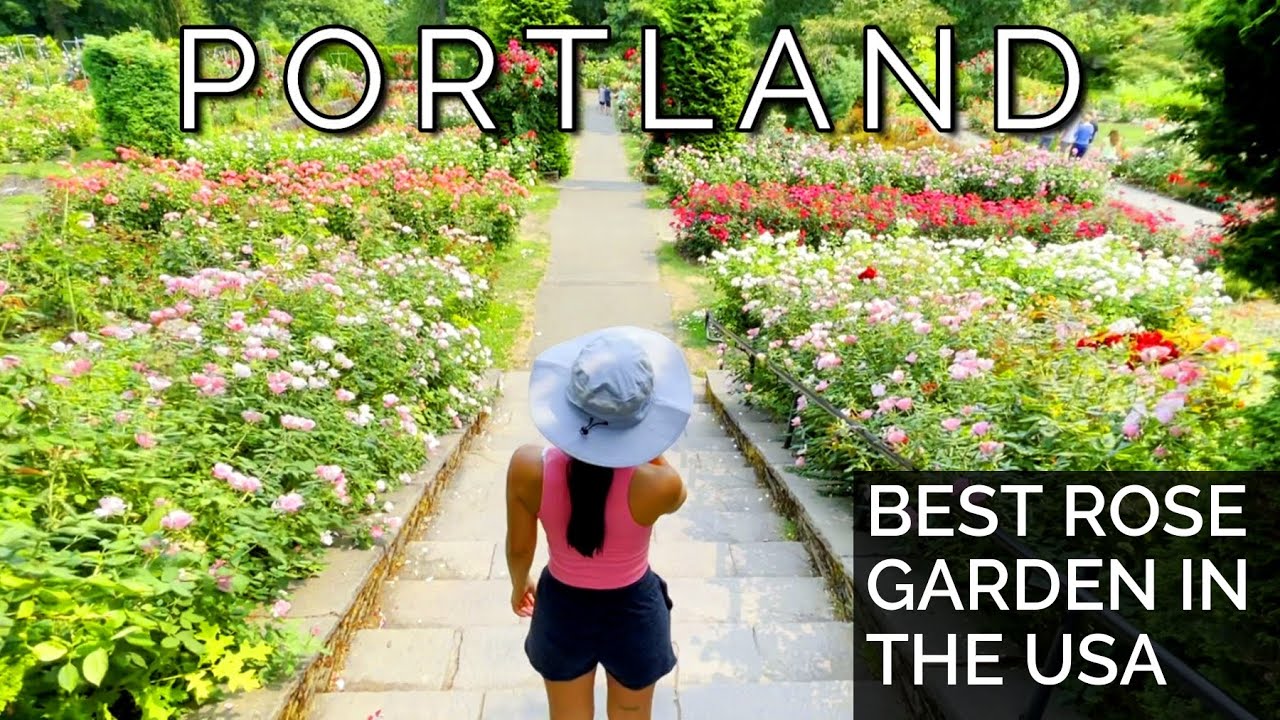 America's MOST BEAUTIFUL Rose Garden | Portland International Rose Test Garden