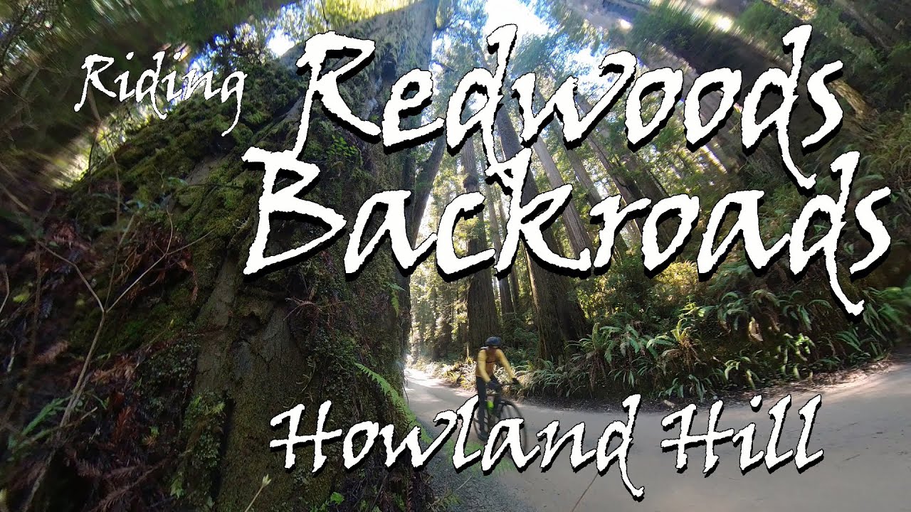 Riding the Redwoods Backroads ~ Howland Hill