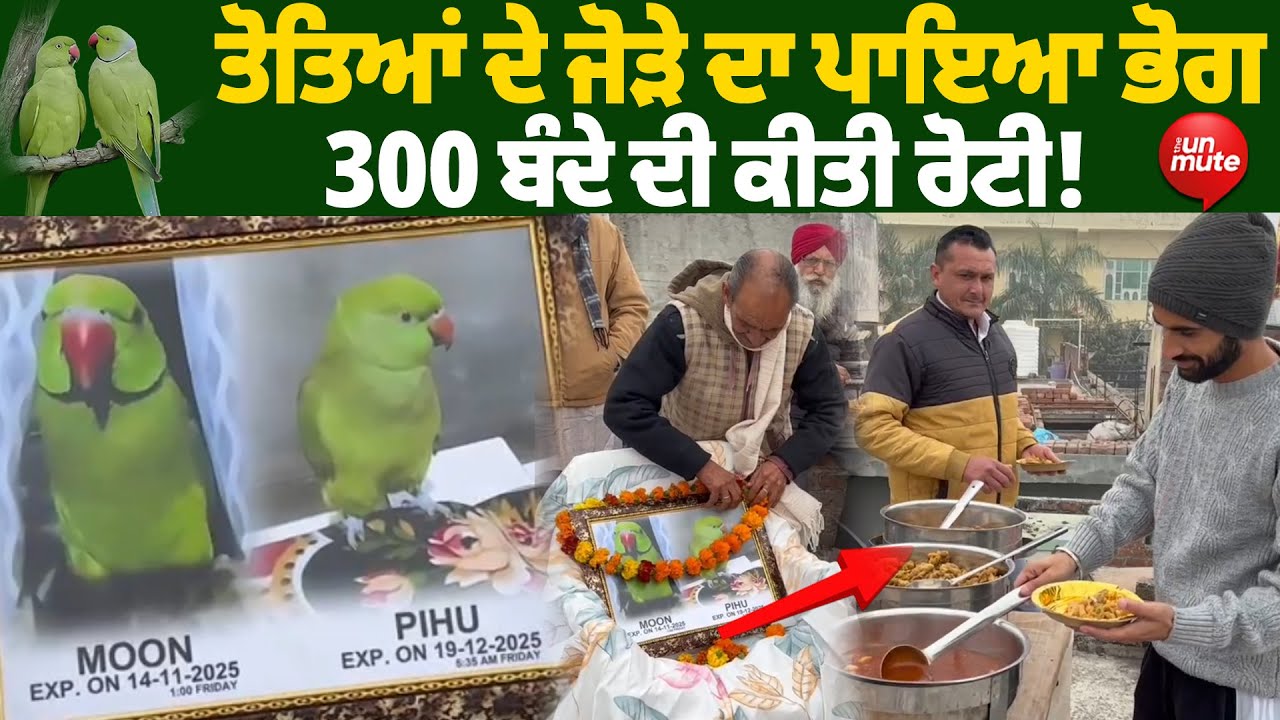 Human-Like Rituals After a Parrot’s De@th:  ਤੋਤਿਆਂ ਦੇ ਜੋੜੇ ਦਾ ਪਾਇਆ ਭੋਗ, 300 ਬੰਦੇ ਦੀ ਕੀਤੀ ਰੋਟੀ!