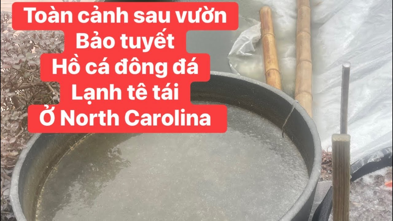 Bão  tuyết đông đá ở tiểu  bang North Carolina lạnh tê tái 😭