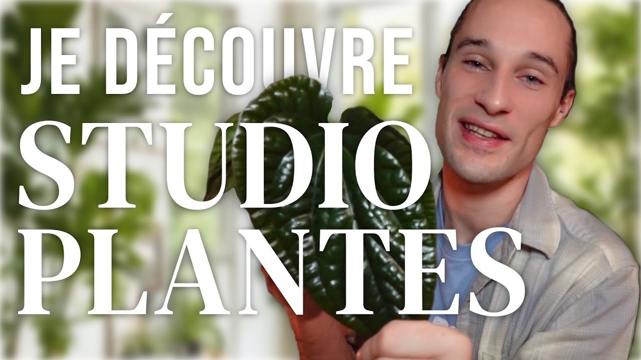 CRASH TEST: STUDIO PLANTES 🪴 Une belle découverte ? 🤨