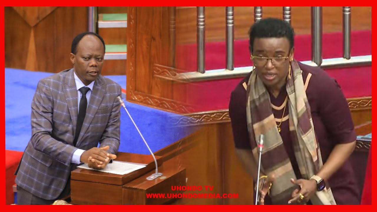 HALIMA MDEE AMVURUGA NAIBU WAZIRI BUNGENI 'NAOMBA KUPATA TAARIFA KAMILI KUHUSU HILI