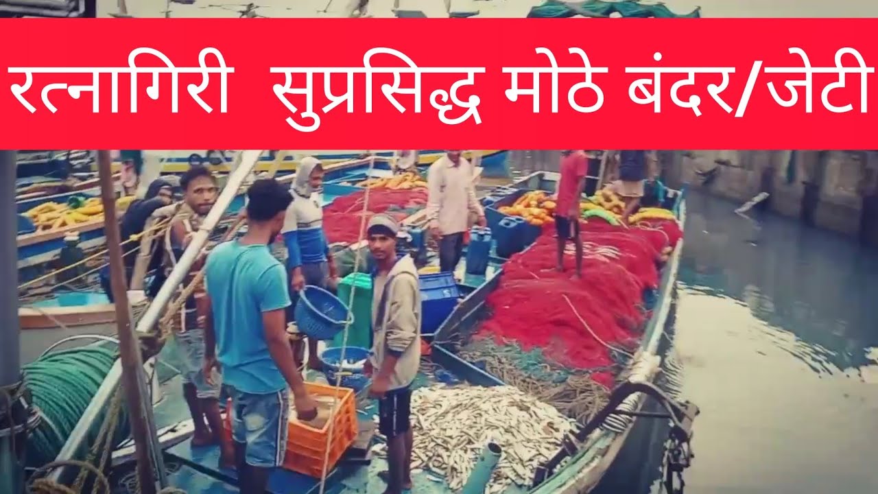 रत्नागिरी मिरकरवाडा बंदर/जेटी,मच्छी बाजार Ratnagiri Mirkarwada port and fish market