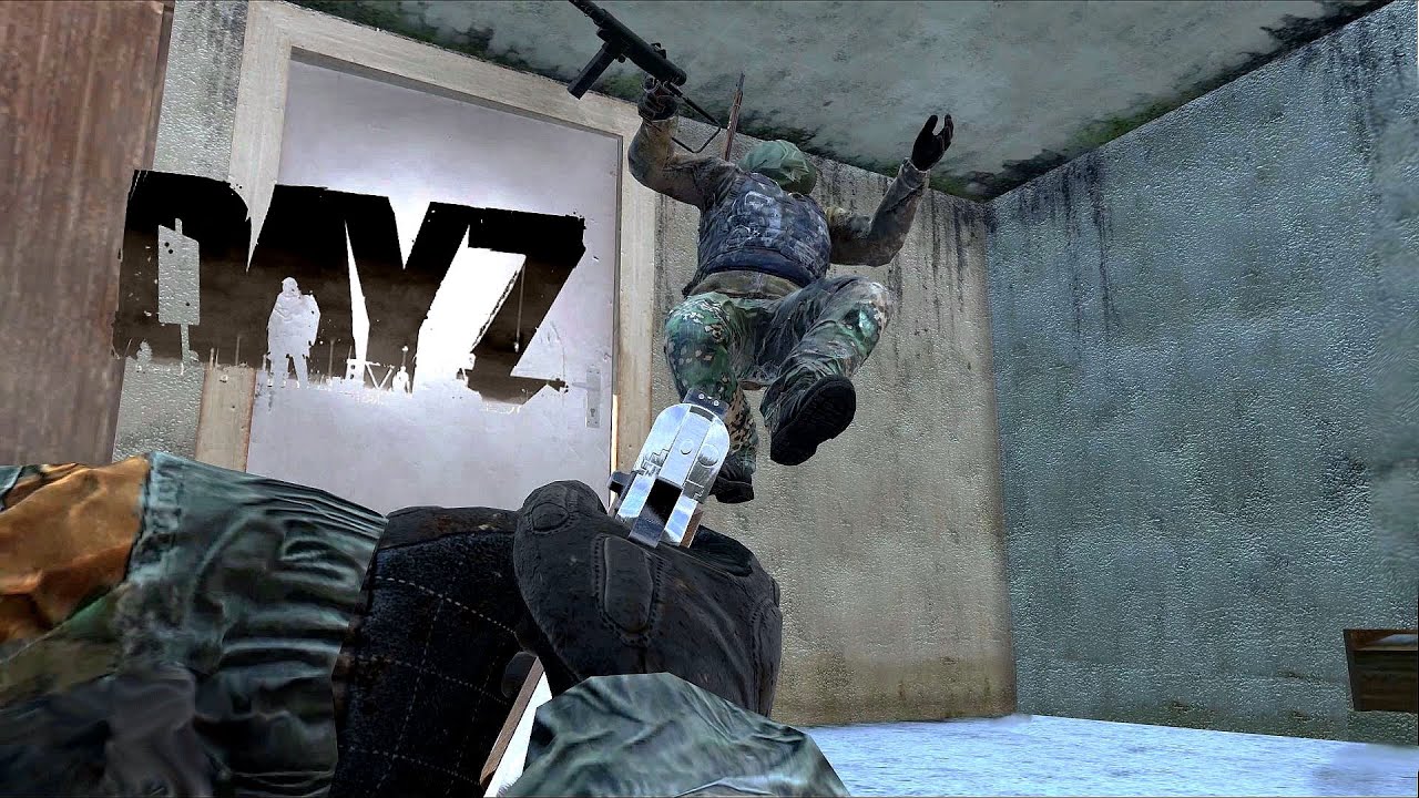 MEMORABLE MOMENTS #120 ( DAYZ )
