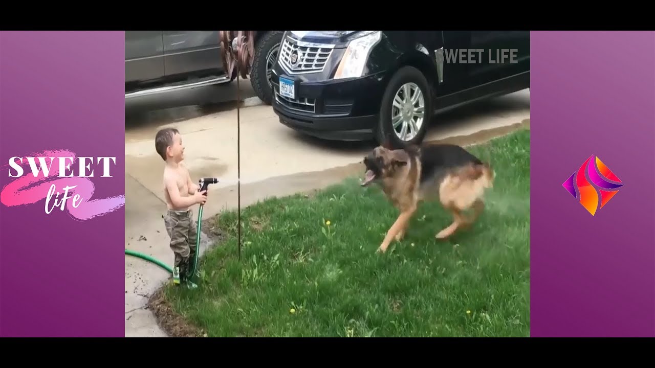 TRY NOT TO LAUGH - Funny Kids and Dogs Fails Compilation 2019 | Best Kids and Dogs Fails Video