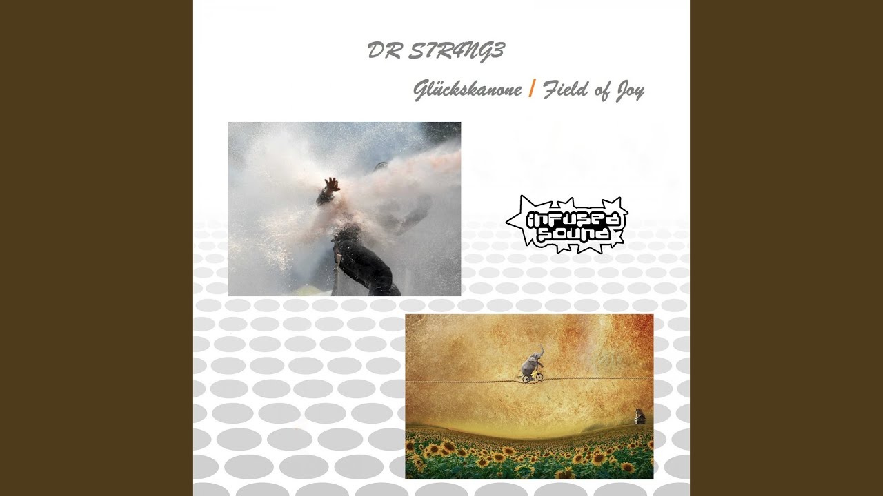 Field of Joy (Original Mix)