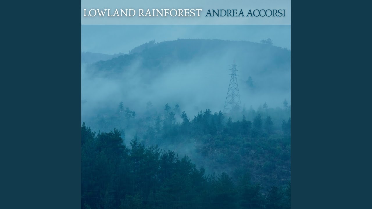 Lowland Rainforest