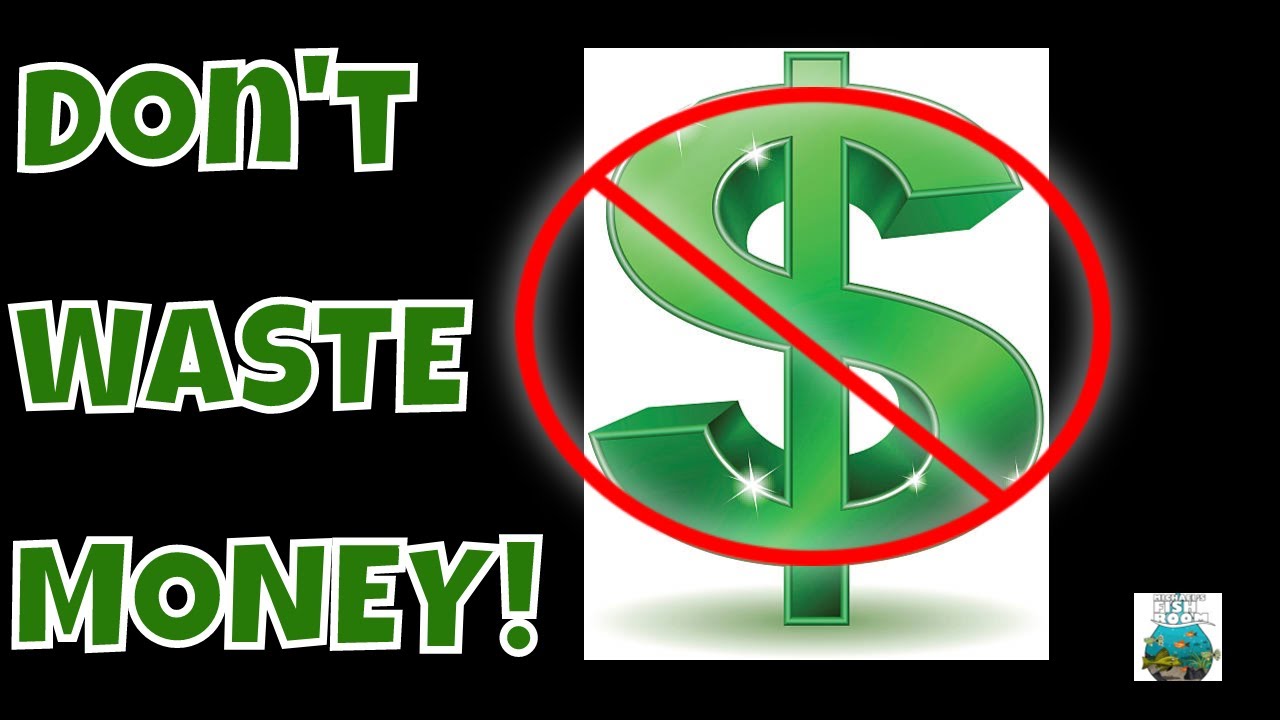 How to Save Money in the Aquarium Hobby