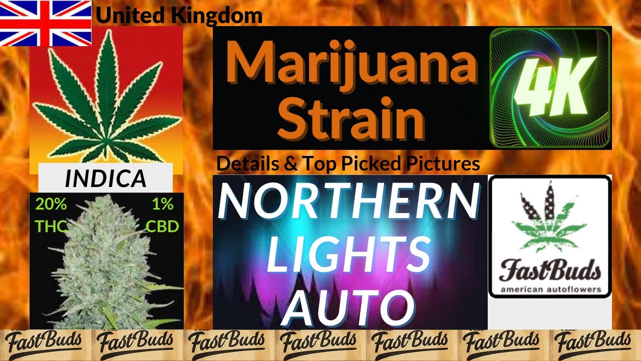 Northern Lights Auto Fast Buds Genetics Details