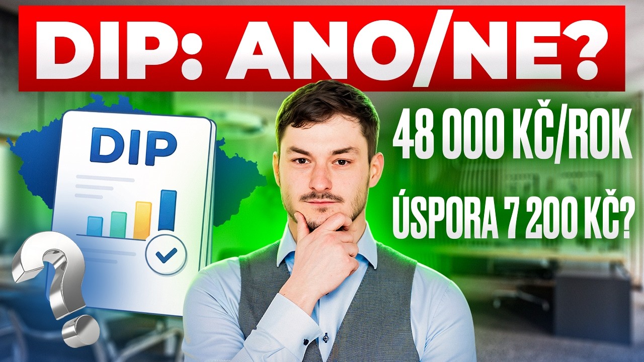 DIP - mít či nemít?