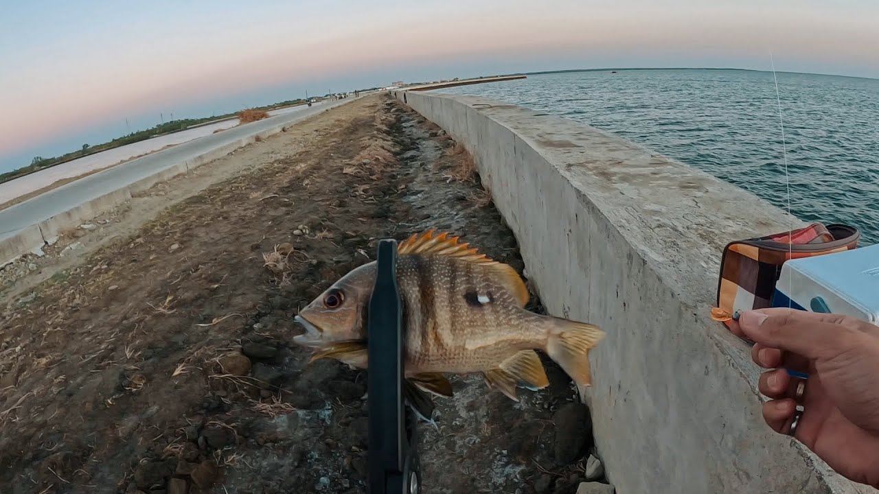 What The Flathead