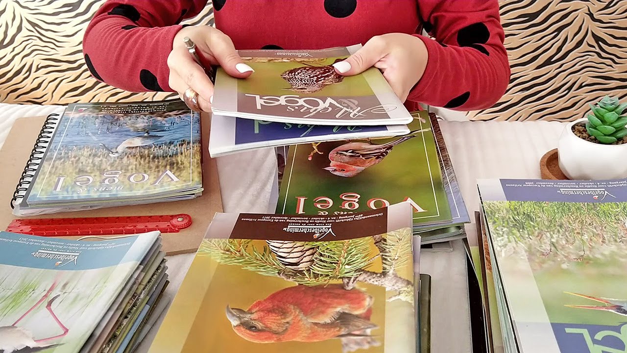 ASMR Bird Magazine Sorting • Writing Sounds • No Talking