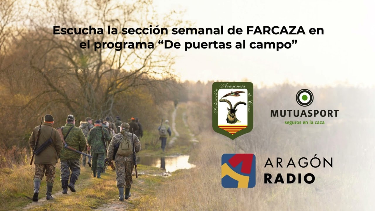 Nicolás Urbani, director técnico de la Federación, en "De puertas al campo" - Task Force - 25 enero.