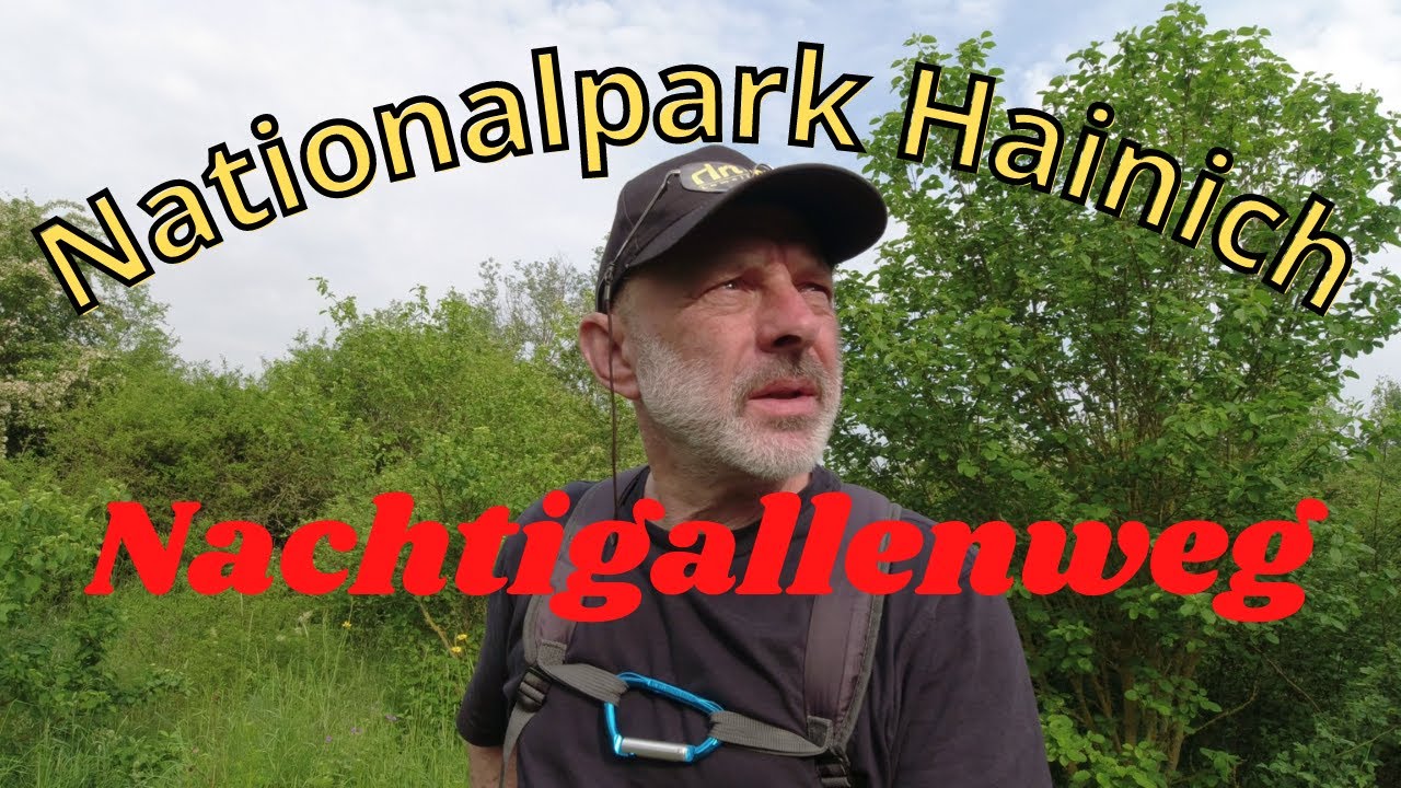 Nationalpark Hainich bei Eisenach.....Nachtigallenweg