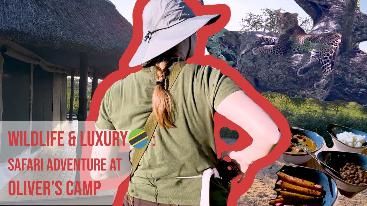 Wildlife & Luxury 🇹🇿: Safari Adventure at Oliver's Camp