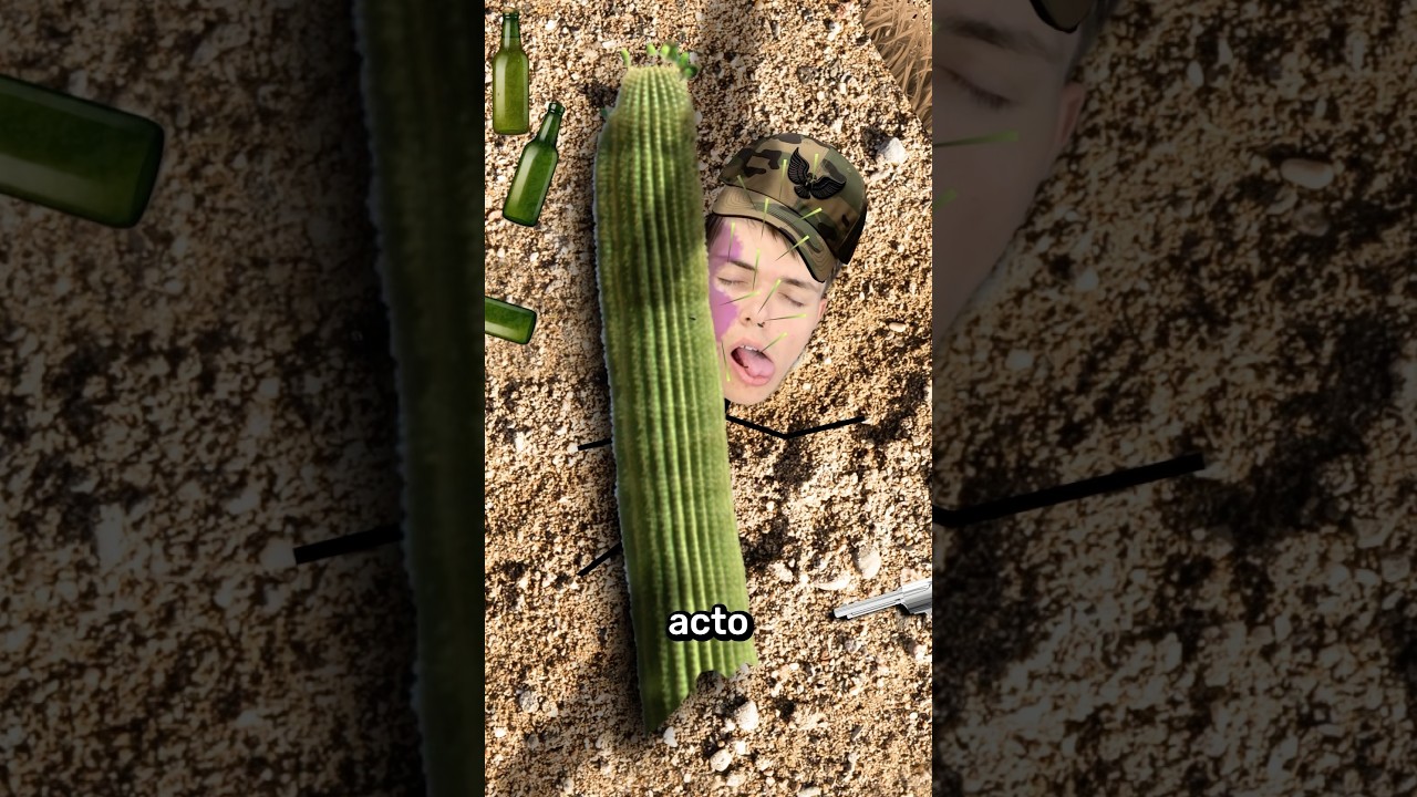 Nunca Dispares A Un Cactus 😧