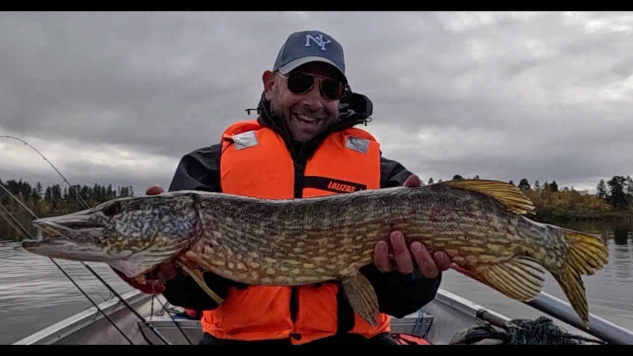 Norge i tagtelt - Episode 3 - Norge blev til Sverige, Sverige blev til fisk.