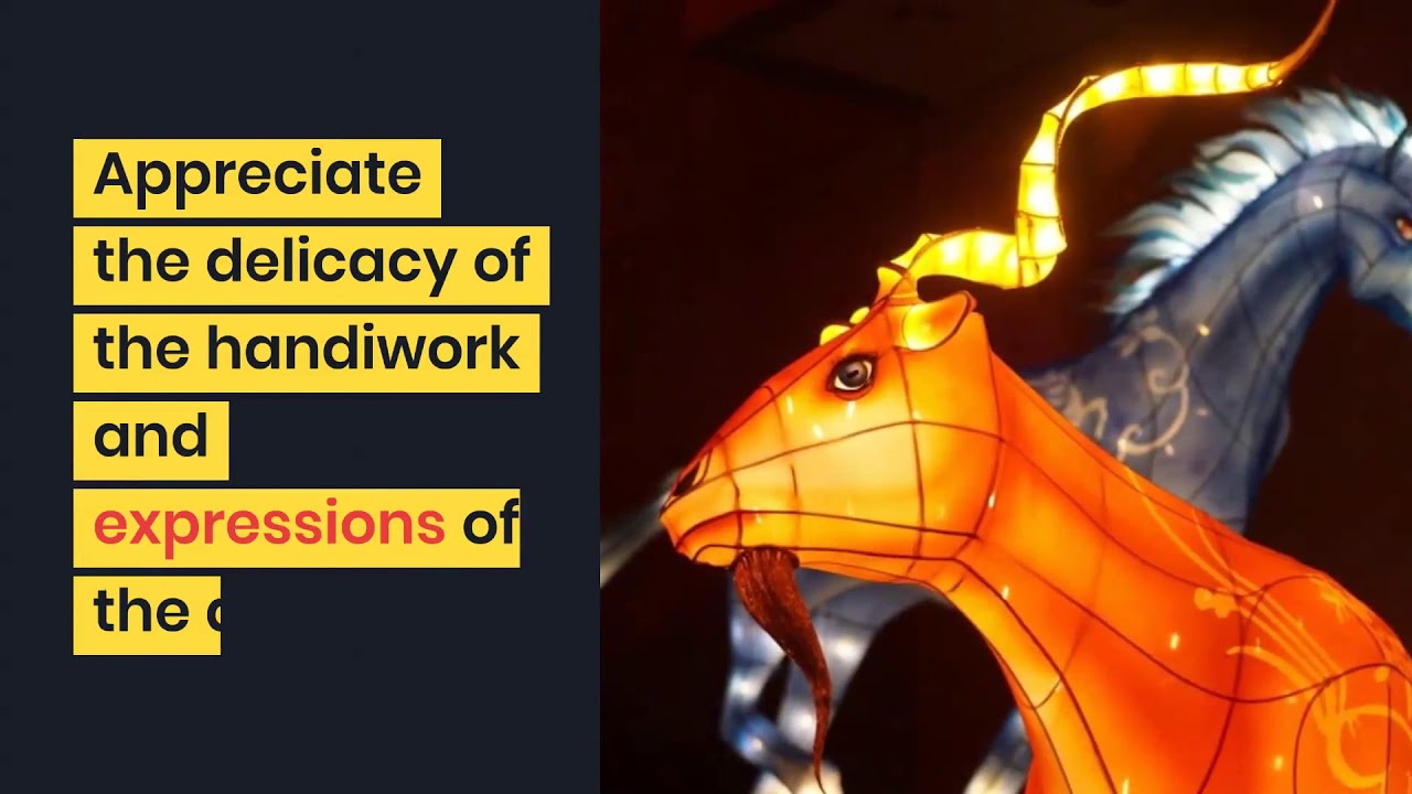 Zodiac Spectacular | Lunar & Chinese New Year | Crown Melbourne | TOT: HOT OR NOT